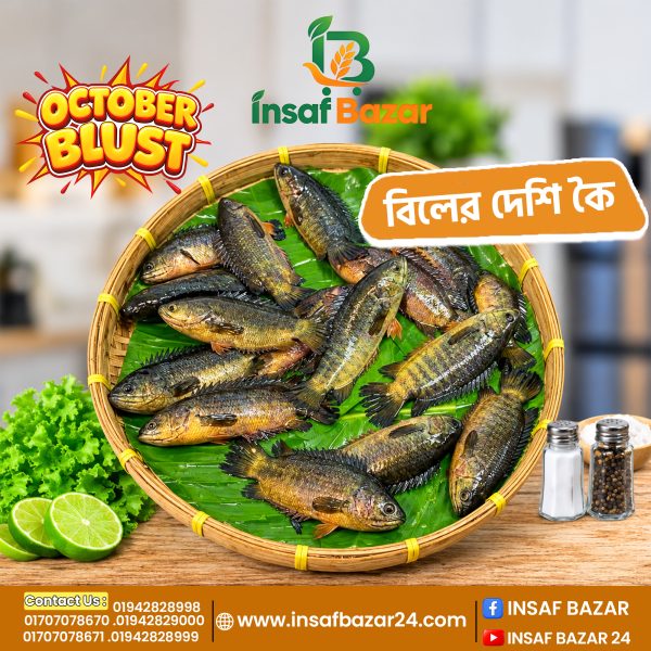 বিলের দেশি কৈ